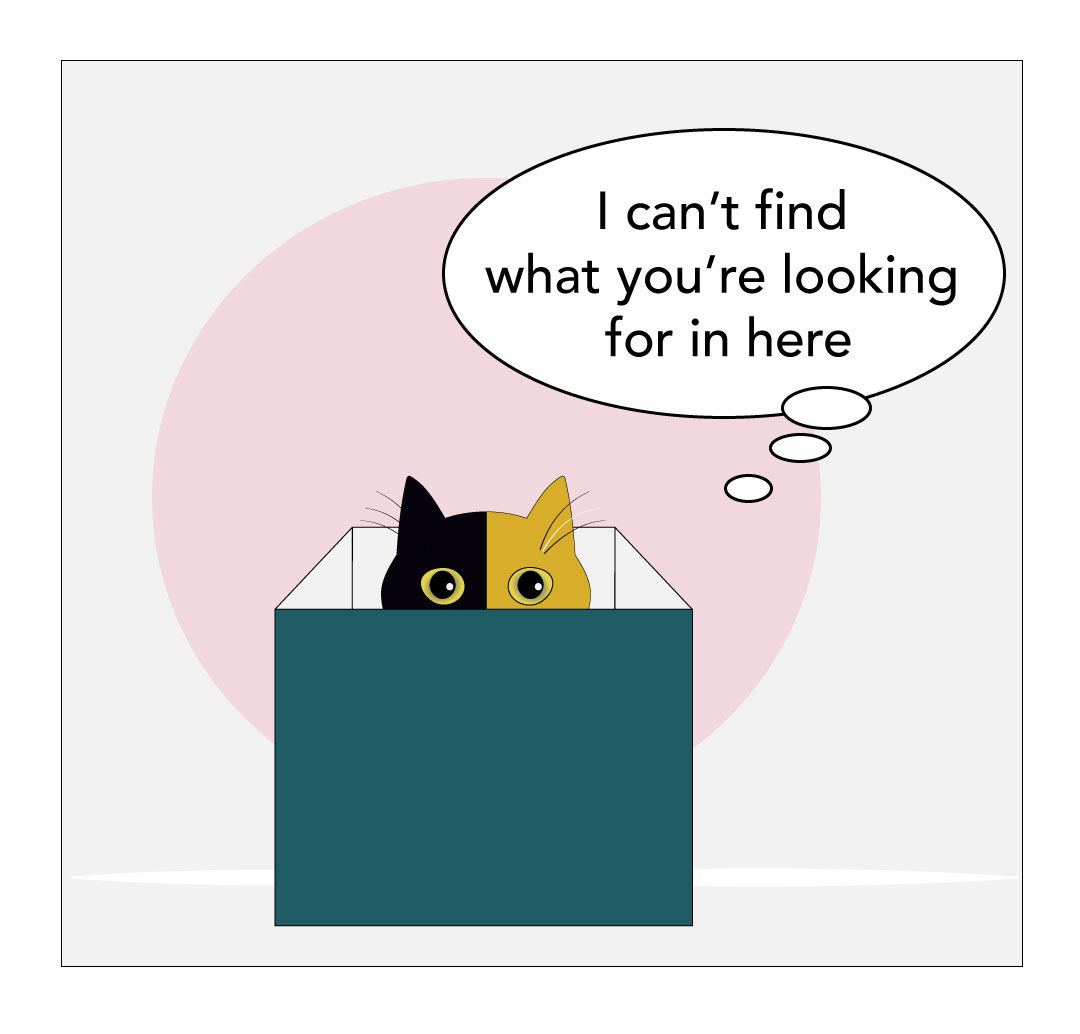 Illustration of cat in a box with a speech bubble that says "I can't find what you're looking for in here".